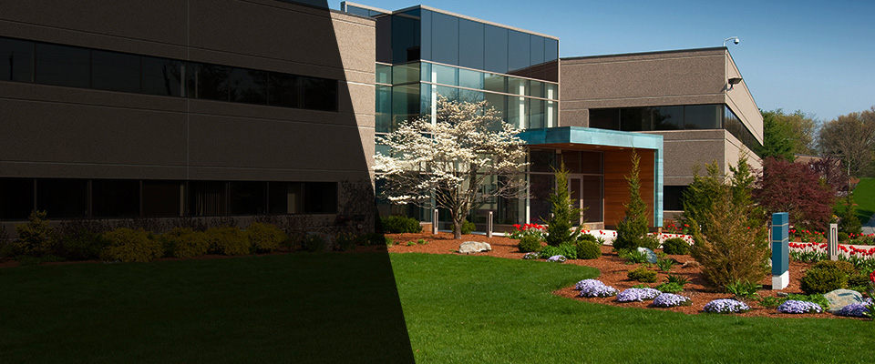 Santee Landscapers