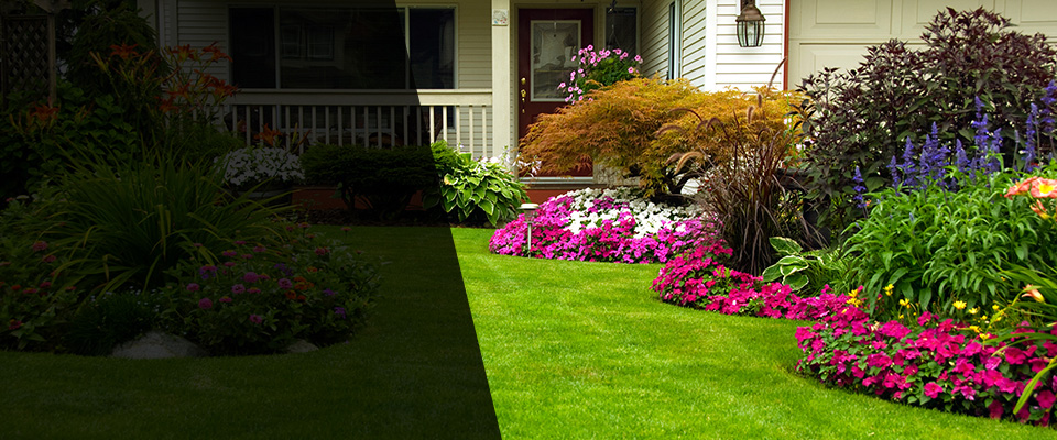 Santee Landscapers