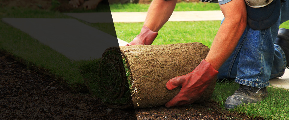 Santee Landscapers